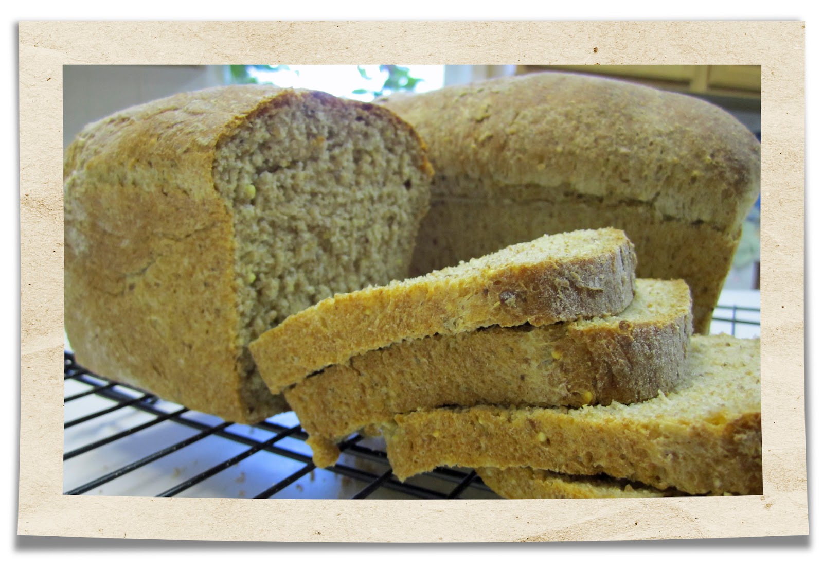 {creating everyday} Cooking Healthy Homemade Whole Wheat Bread