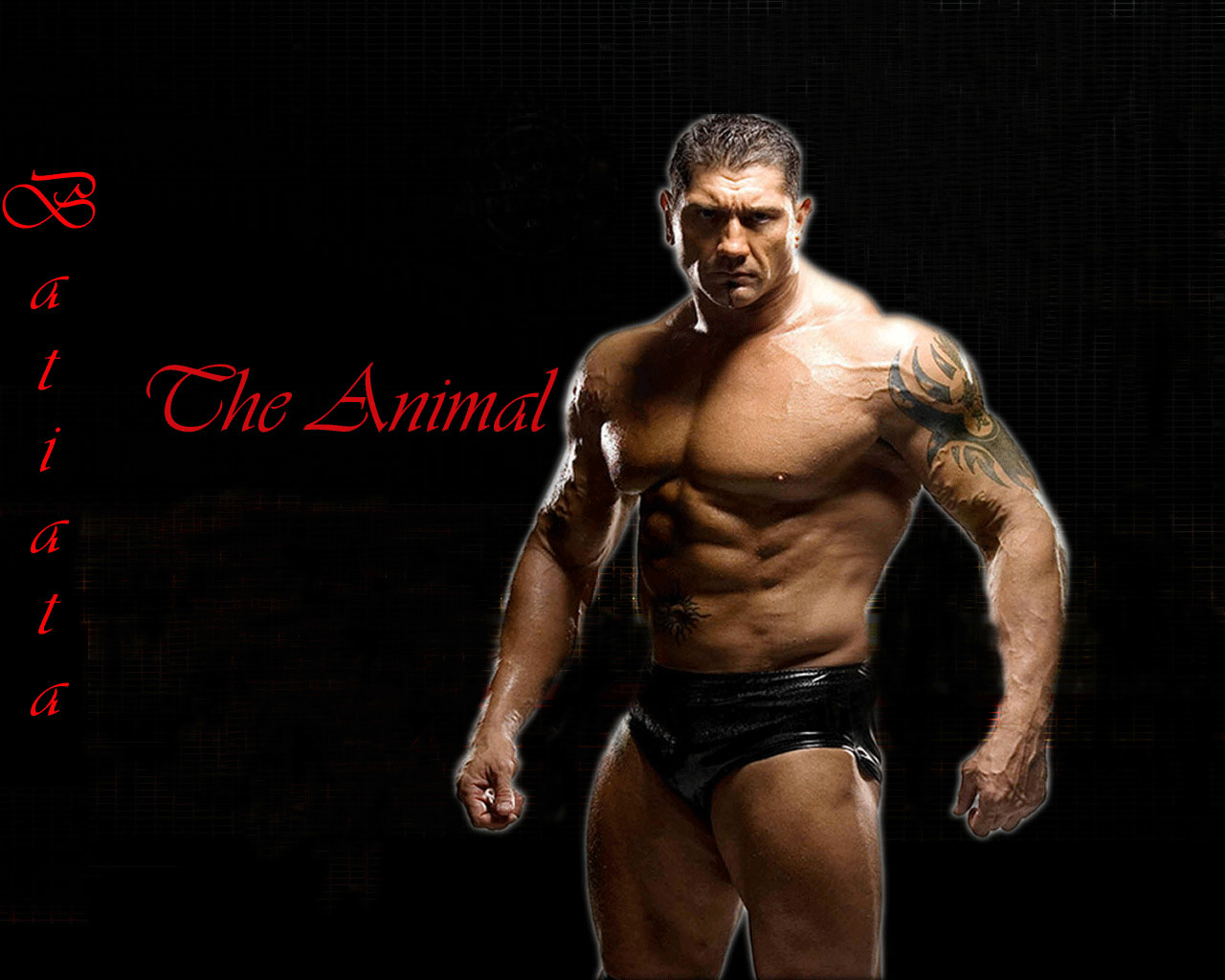 ... wallpapers dave batista wallpapers dave batista wallpapers dave
