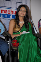 Its My Love Story Movie Audio Launch