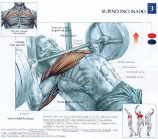 melhor academia de ginastica,exercicios para musculacao,como fazer exercicio para o gluteo,qual a melhor academia para malhar,exercicios para as pernas