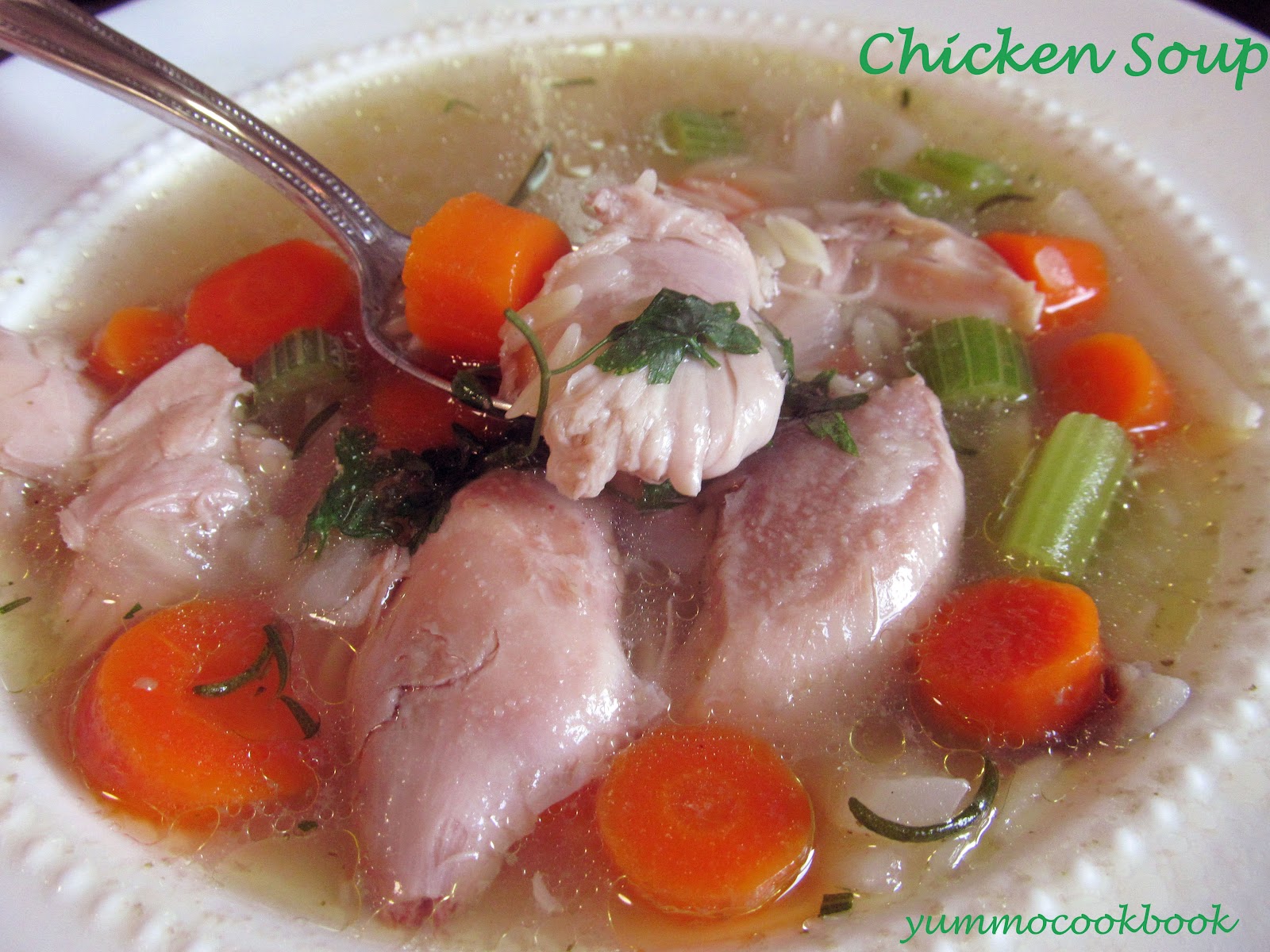 Yummo Cookbook Chicken Soup...for my summertime cold
