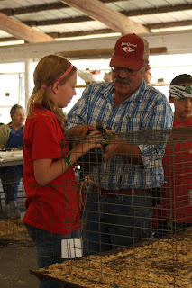 Chicken Judging Chicken Judging