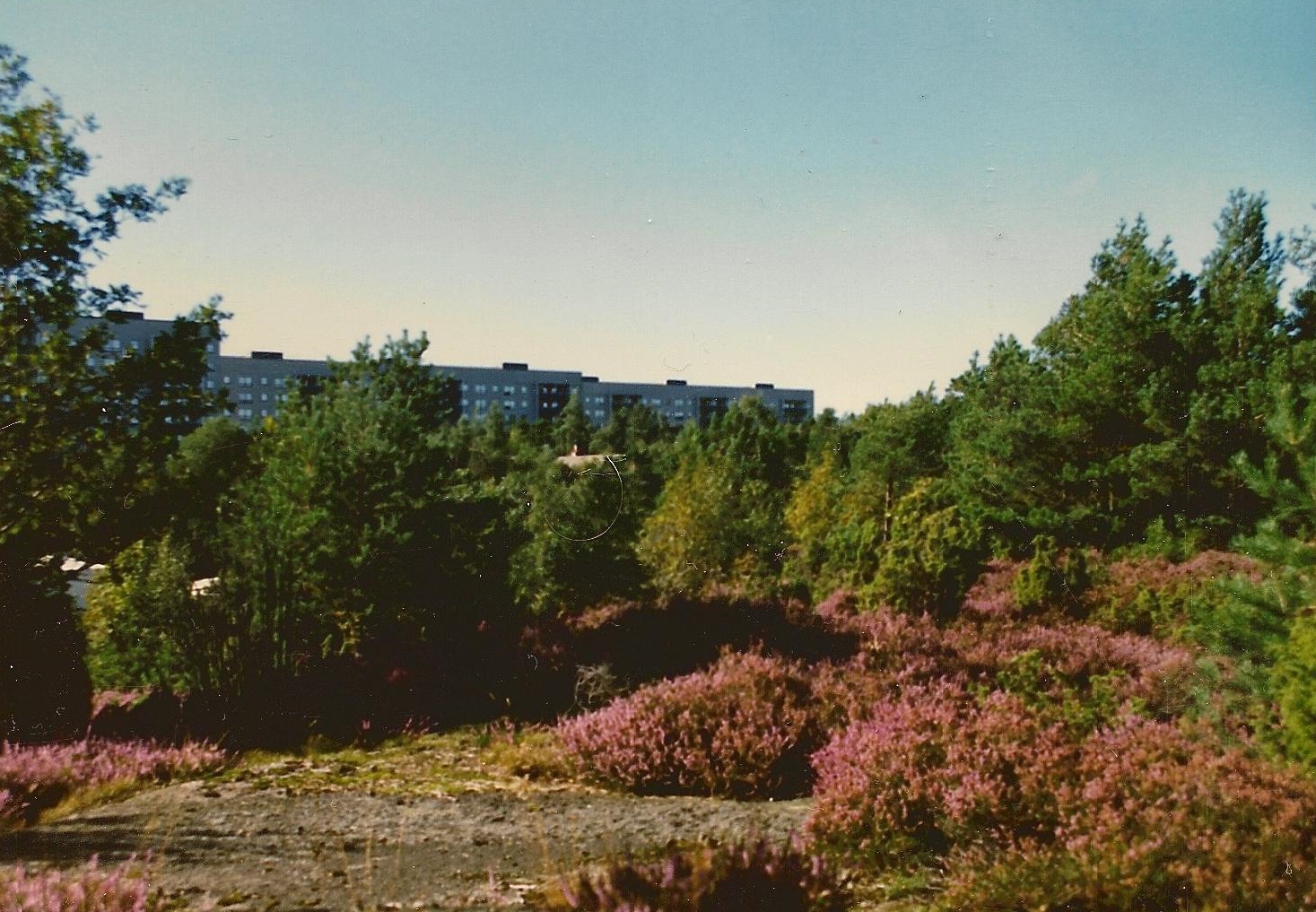 Nostalgorama: fjädermolnsgatan i göteborg förr