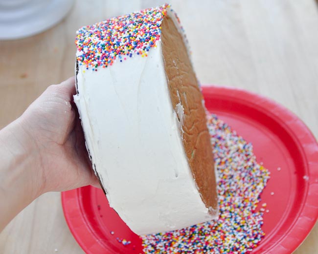 Beki Cook's Cake Blog Sprinkle Sprinkle Cake in the Pioneer Press