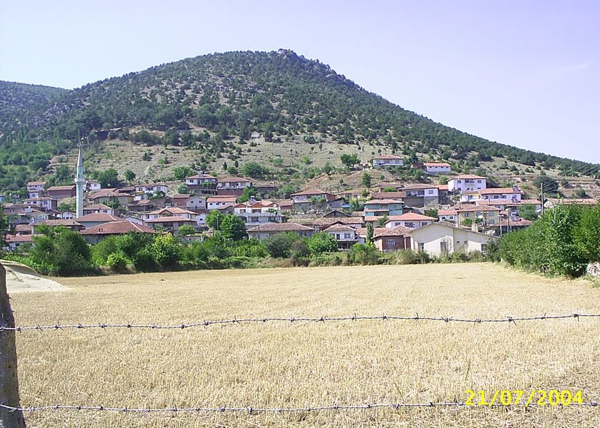 tatar köyü