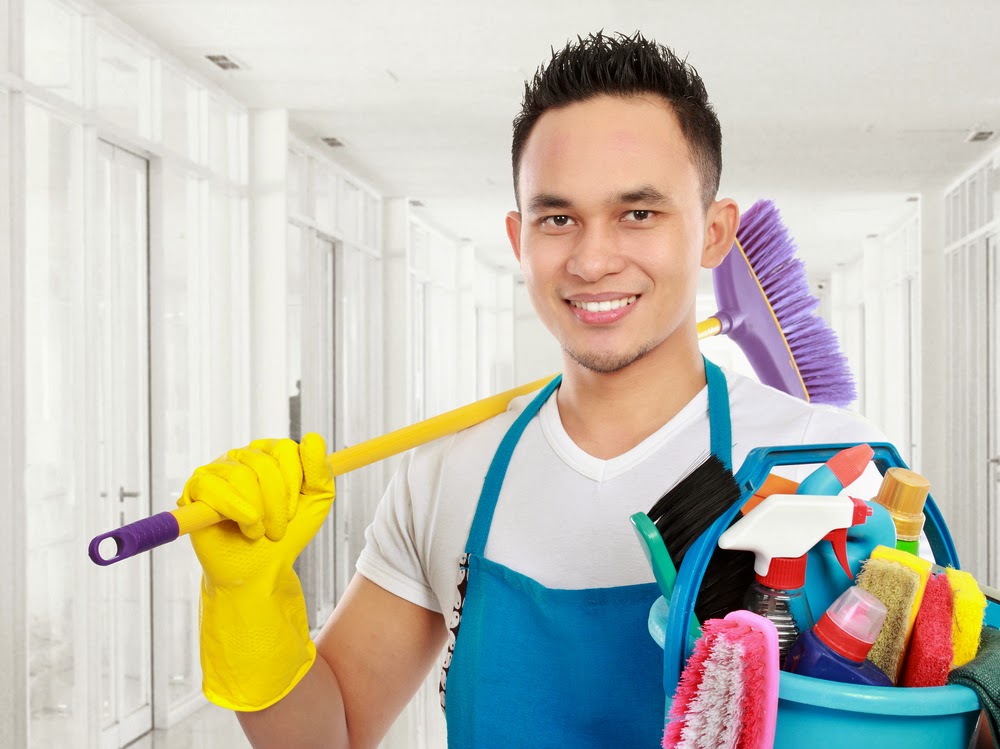professional domestic cleaning