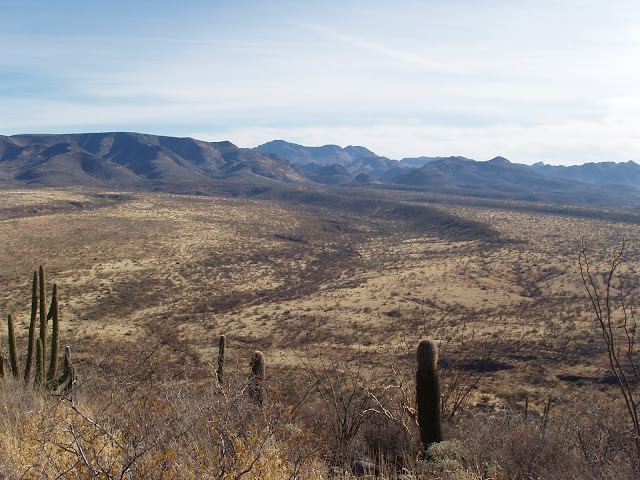 Desert+Coues+Deer+ranch+in+Sonora+Mexico+with+Colburn+and+Scott+Outfitters+4.JPG