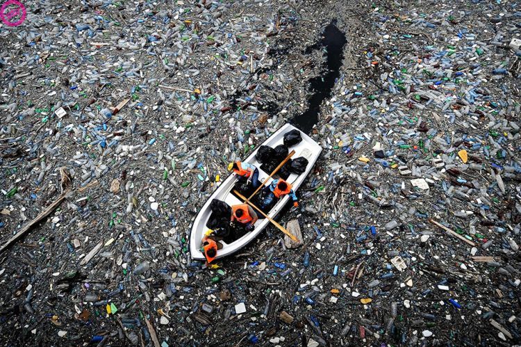 Ученые утверждают, что массивы пластика в океанах разрушают экосистему планеты Trash_07