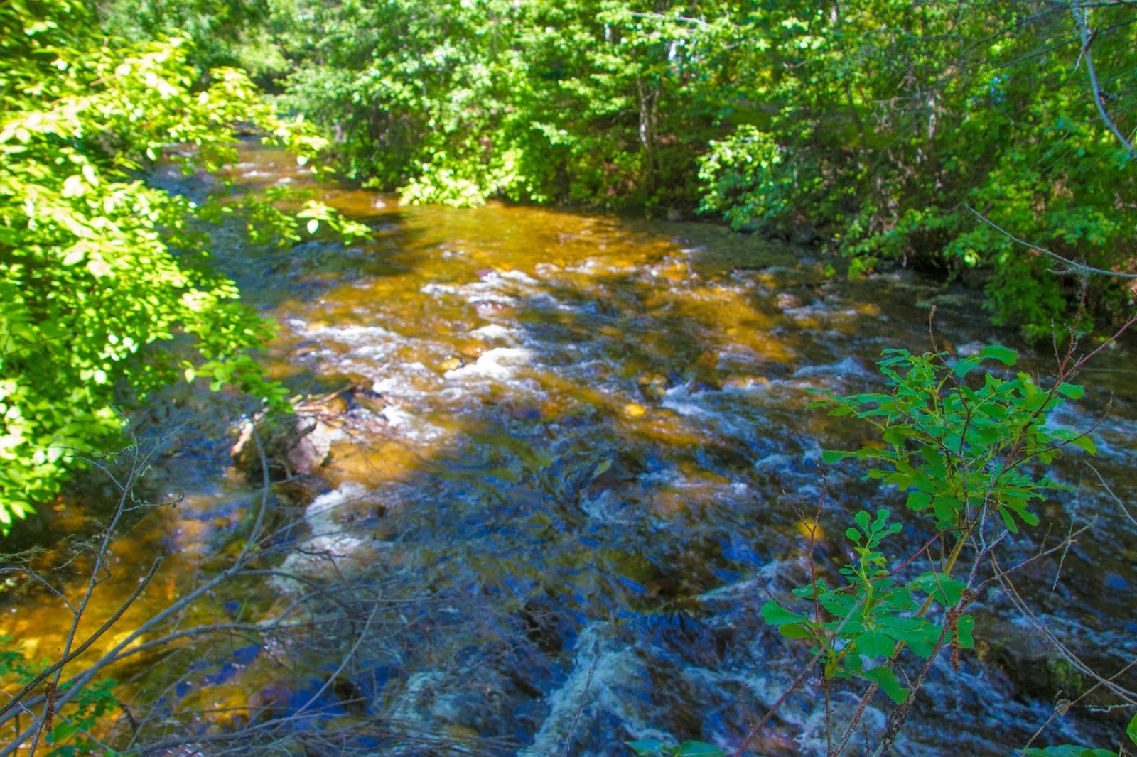 Studio39Designs Around Bear Creek Provincial Park