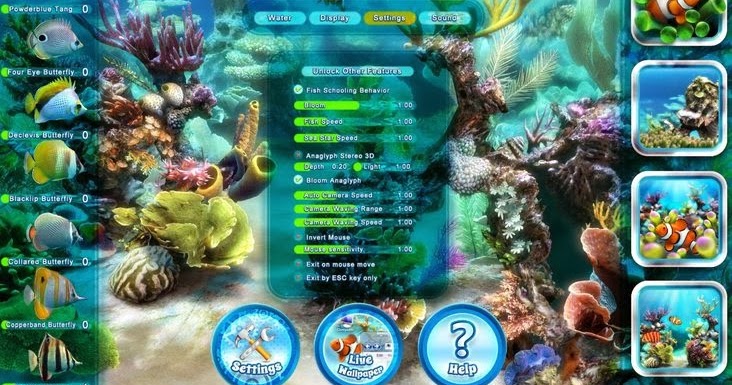 Classroom Aquatic  for pc [key serial]