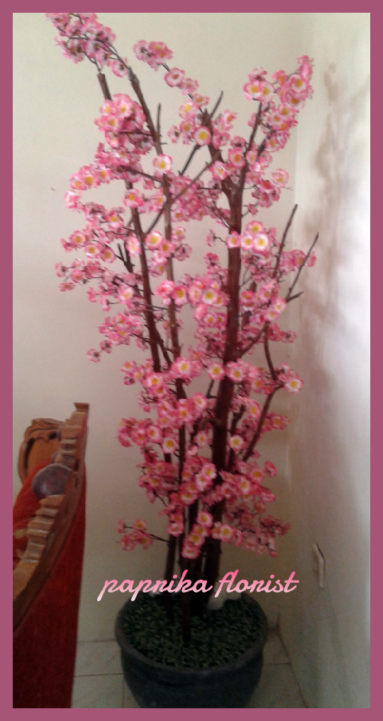 101 Gambar Rumah Bunga Sakura Terlihat Keren 101 Gambar Rumah Bunga Sakura Terlihat Keren
