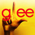Glee : Celebs Guest Stars