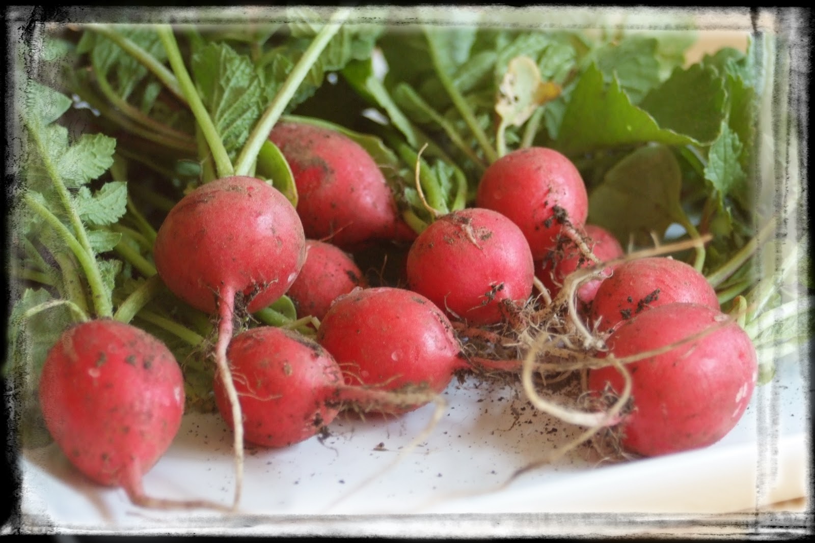 Mommy Made From Scratch Spicy Baked Radish Chips