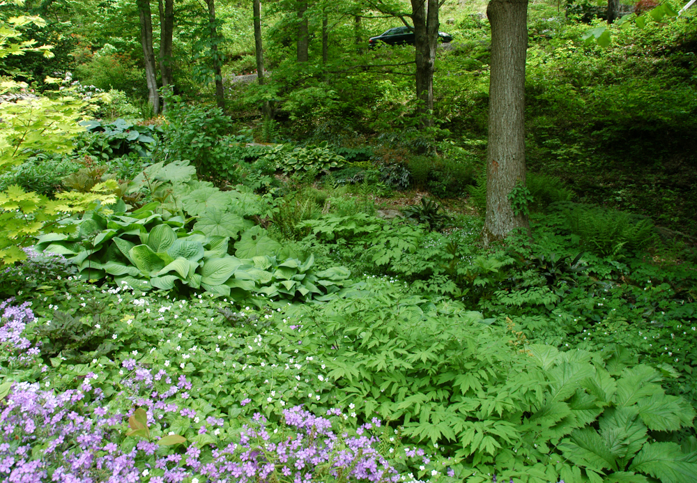 Natural Gardening Swallowtail Gardens