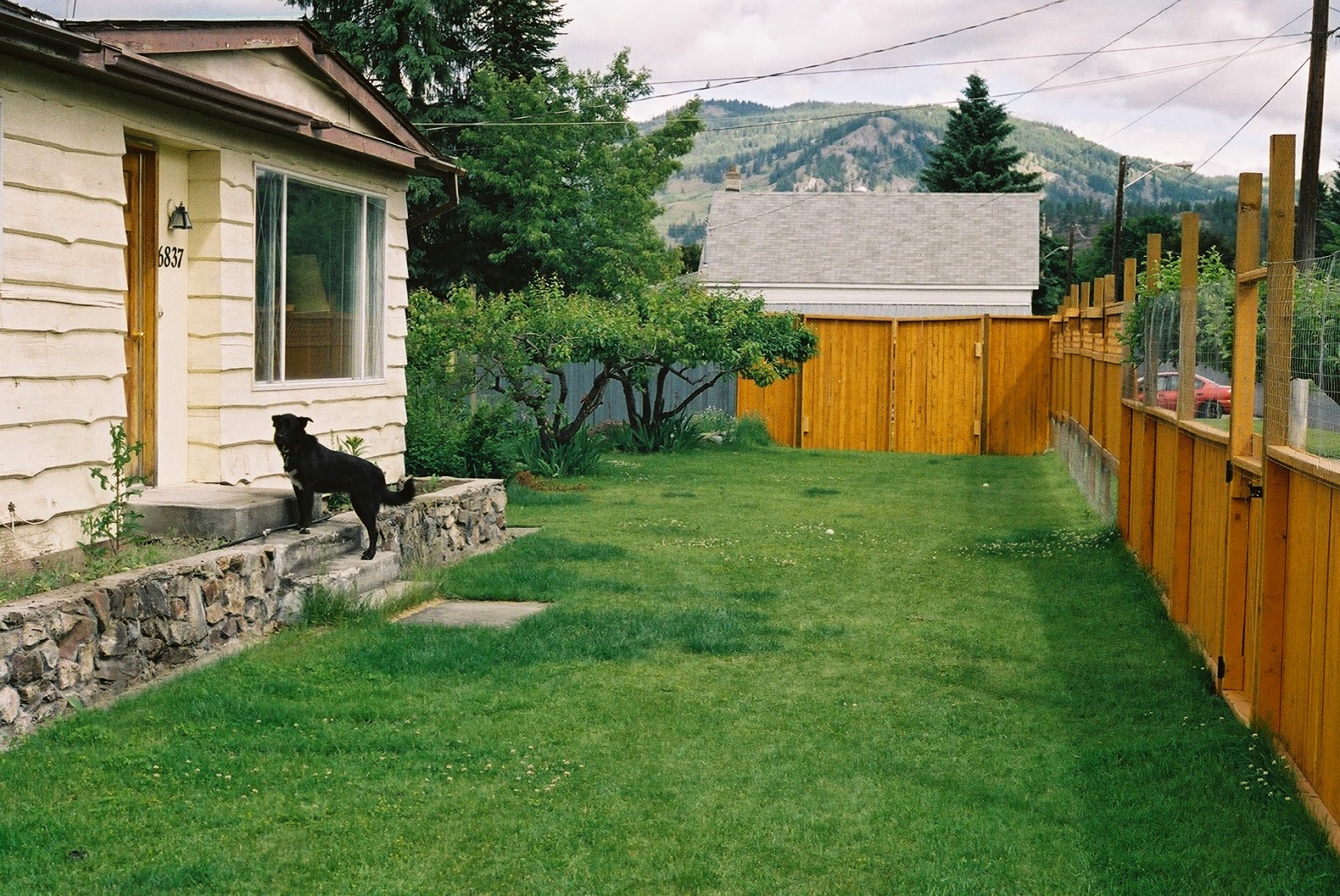 Green Grandma A Canadian Backyard Habitat