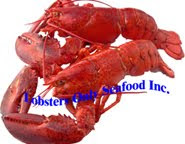 top choice ns live lobsters