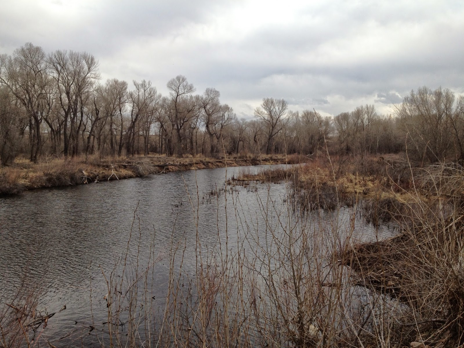 Go Hike Colorado Platte & Ponds, Chatfield State Park