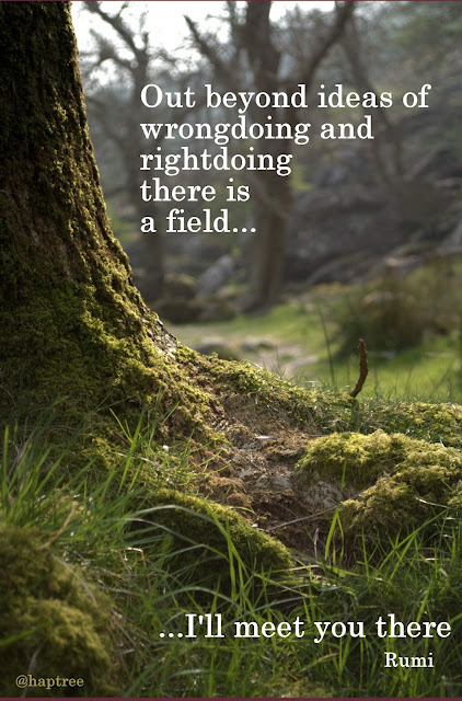 rumi beyond wrongdoing meet rightdoing ll field quote quotes open january being minded journey god daily