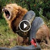 Daawo sida loo galay libaaxaan waxaa gacanta ku dhigay maskii ugu weynaa Aduunka thumbnail