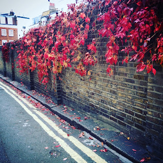 Autumn leaves on a brick wall