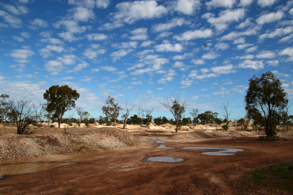 Bushranger Lightning Ridge