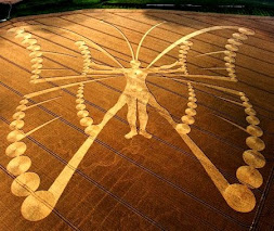 MENSAGEM da NASA RESPONDIDA em CROP CIRCLE  (TV ALVORADA)