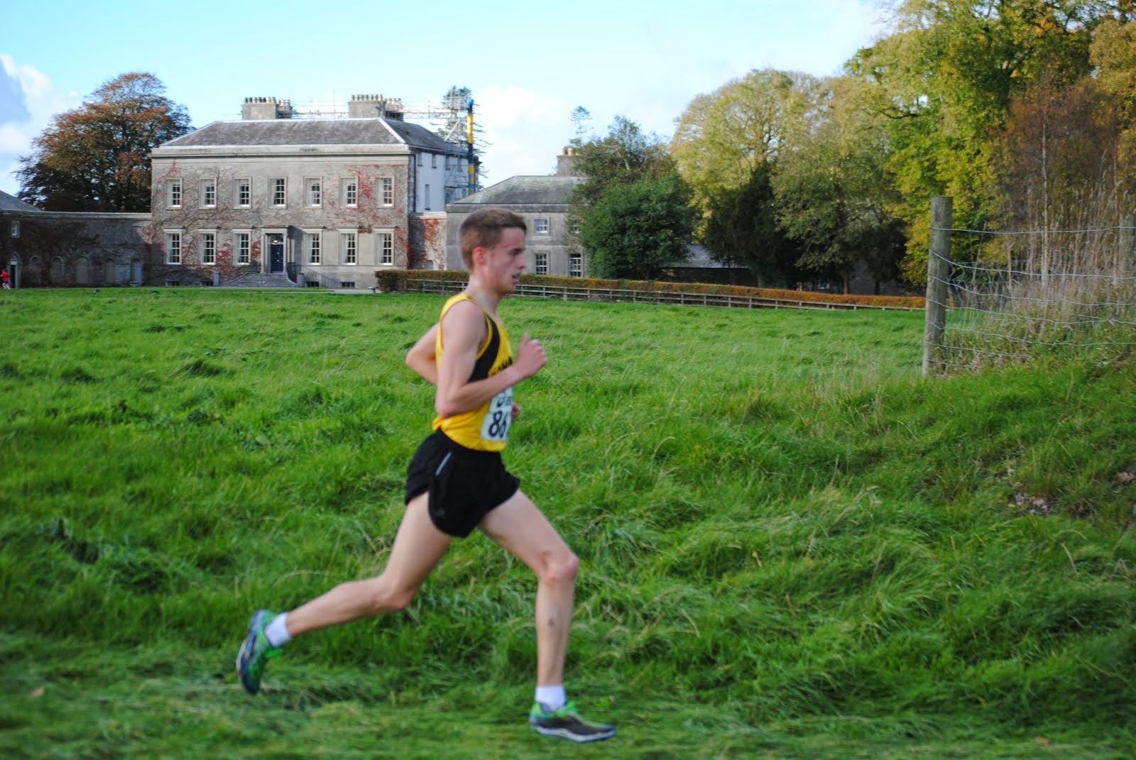 Meath Senior Champ 2013