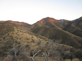Coues+Deer+Country+in+Sonora+Mexico+with+Colburn+and+Scott+Outfitters+19.JPG