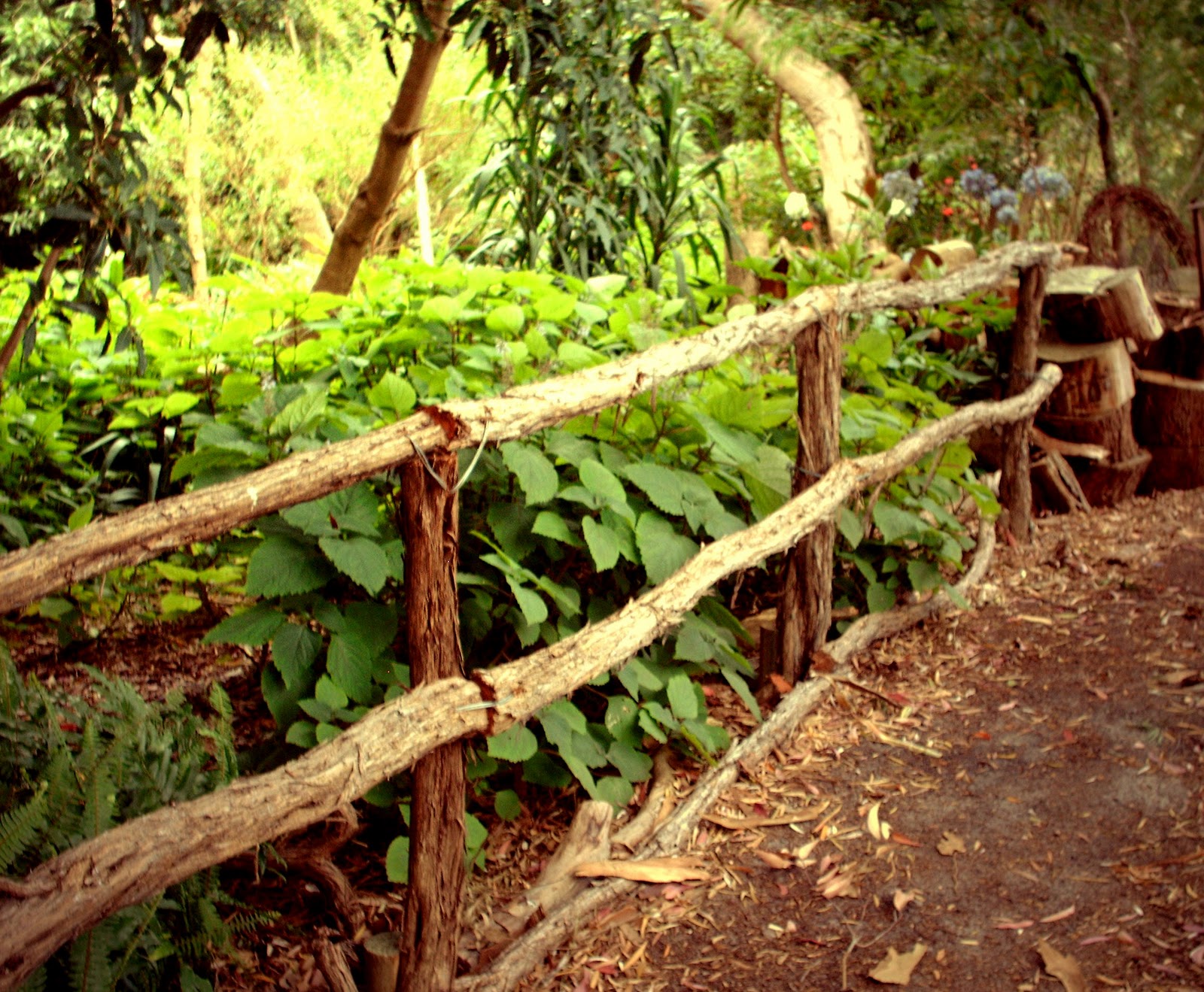 Decks & Fences by Byron