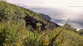 Paesaggi Ischitani, Natura Ischia, Antiche tradizioni dell' Isola d' Ischia, trekking Ischia, Sentieri di Ischia, Colori mediterranei di Ischia, 