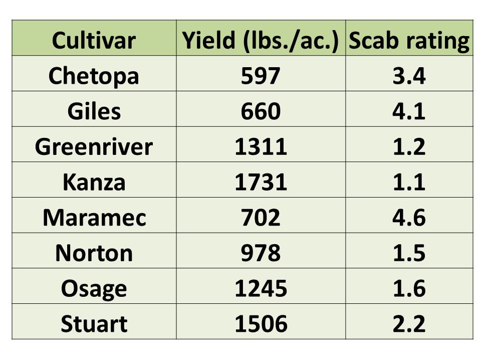 Pecan Tree Spacing Chart