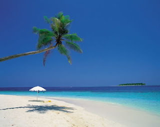 tropicalbeach+(1).jpg