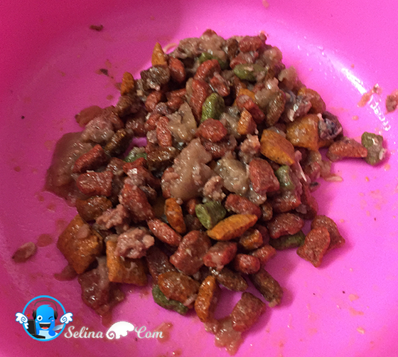 Is Whiskas Dry Food Good For Cats Is Whiskas Dry Food Good For Cats