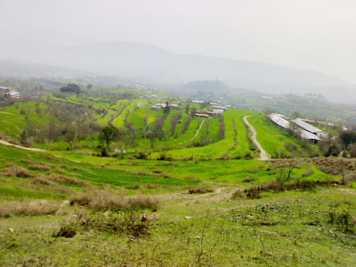 Hari Maira, hari mera village in Mansehra hazara kpk, near oghi, khaki, behrkund