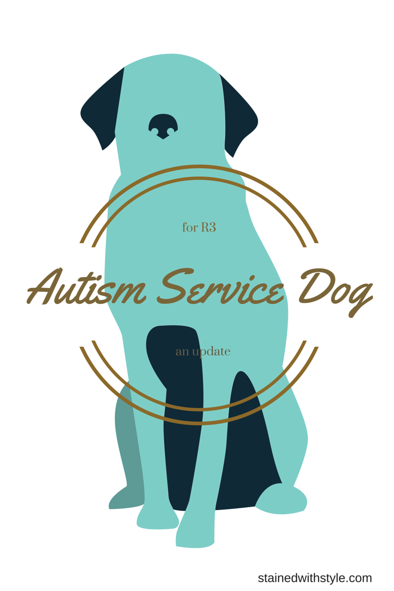 Autism Service Dog An Update Stained with Style