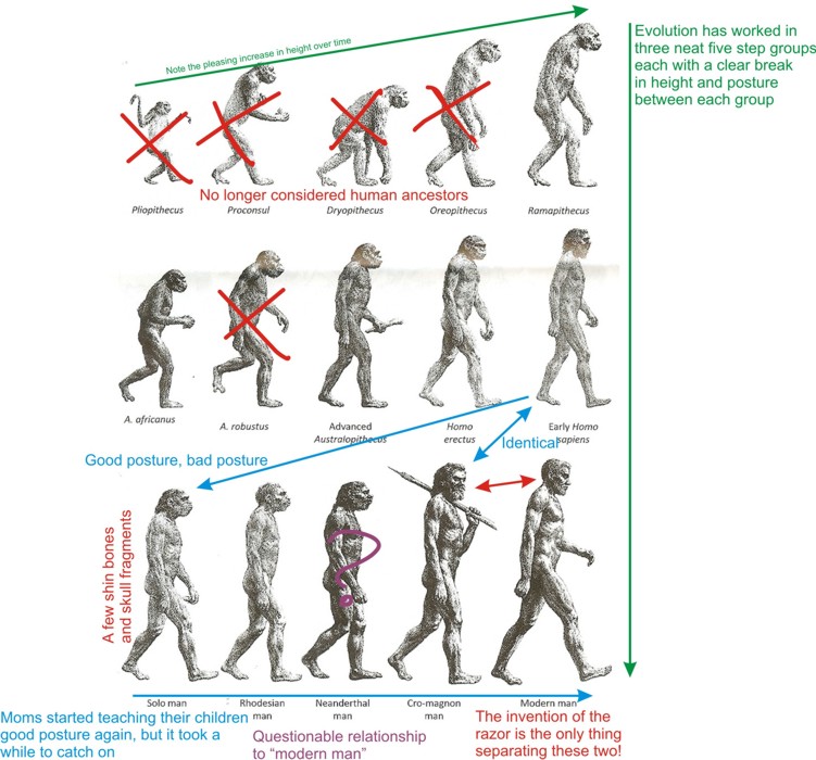 Social Science at it's BEST! Chapter 2 Human Origins