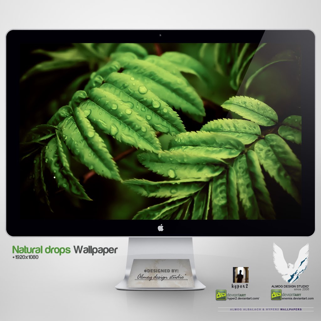 http://4.bp.blogspot.com/-UEkM0LvIaAY/TcpQVfoaDnI/AAAAAAAAQXE/y-PnElH4KEg/s1600/_natural_drops__wallpaper_by_enemia-d3fsbbp.jpg