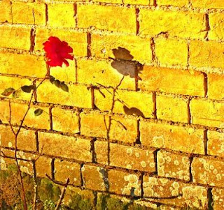 SOGNO RICORRENTE DI TRADIMENTO
