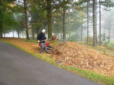 Moving the Mulch Culham uses garden fork to move large pile of pine needles into wheelbarrow .