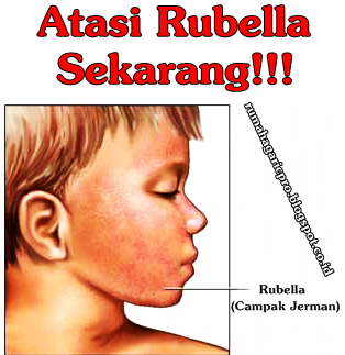 Obat Rubella Obat Rubella