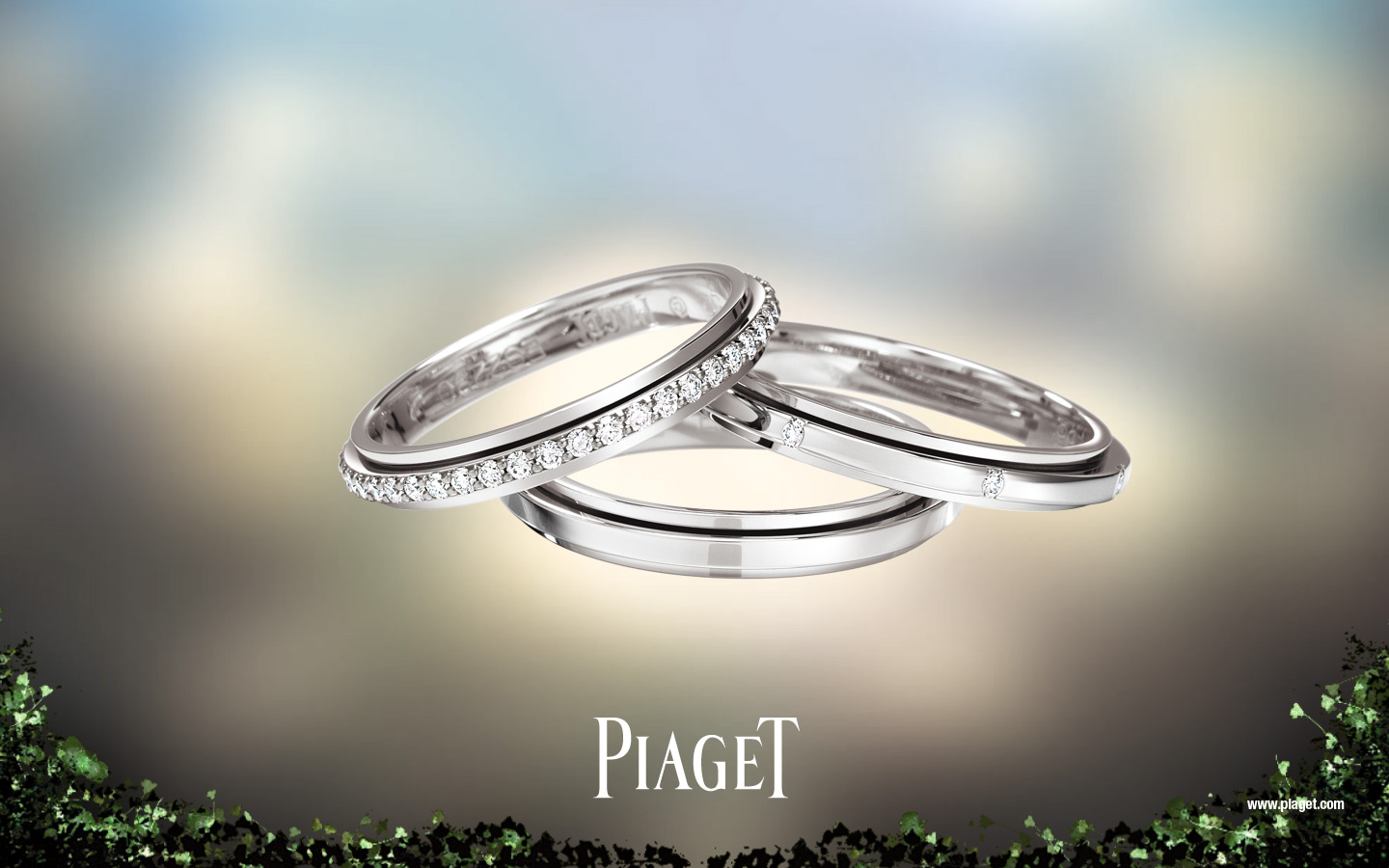http://4.bp.blogspot.com/-UFtnlC_Zey4/TkfHr8qfxXI/AAAAAAAAE_8/YEoQM9Ts8wA/s1600/Piaget_Wedding_Rings_White_Gold_Diamonds.jpg