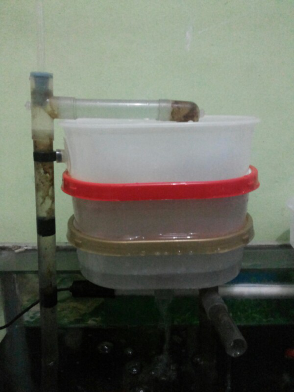 Membuat Filter Aquarium Sederhana | membuat filter aquarium sederhana dunia akuarium Membuat Filter Aquarium Sederhana | membuat filter aquarium sederhana dunia akuarium