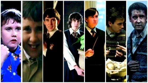 Hogwarts Alumni: Neville Longbottom Evolution
