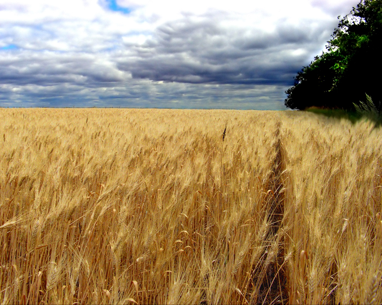 Dream Vacation Canada Most beautiful places in the world Download