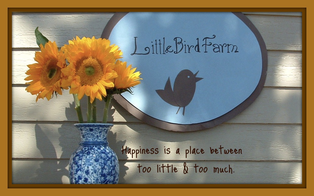 Little Bird Farm