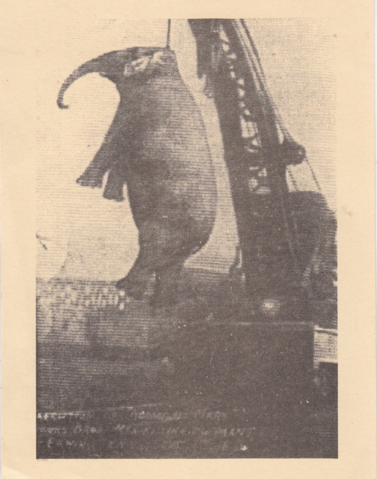 Amanda from Seattle Monday's Postcard The Hanging Elephant