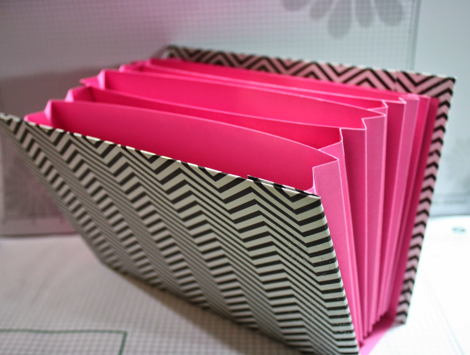 Super Cute Accordion File Organizer