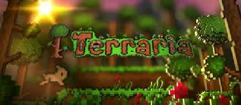 Terraria Wiki :D