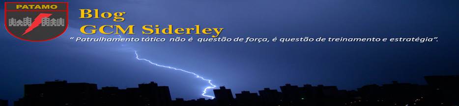 Blog GCM Siderley  