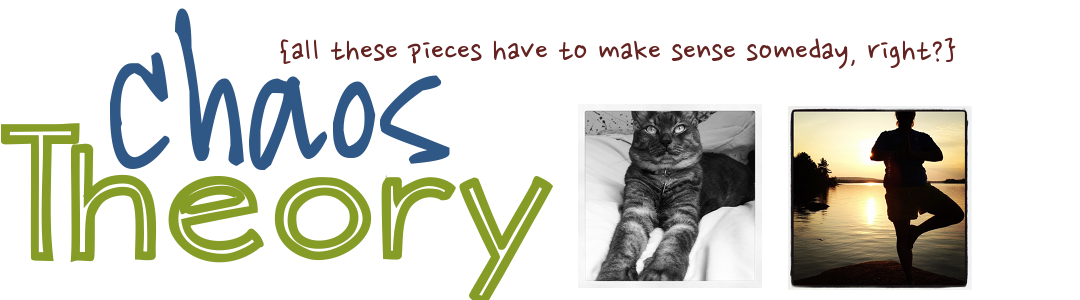 Chaos Theory